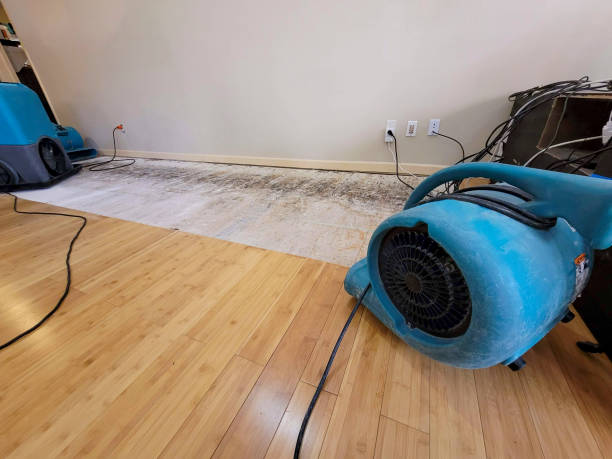 Professional Flood Damage Cleanup technician working in Dixon, IL